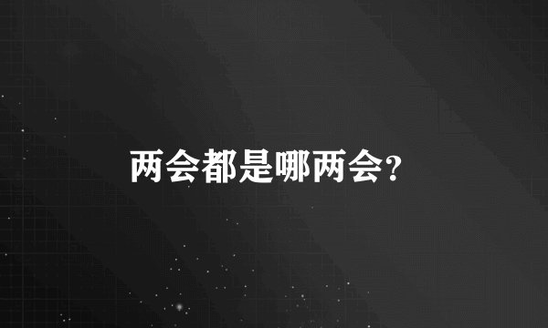 两会都是哪两会？