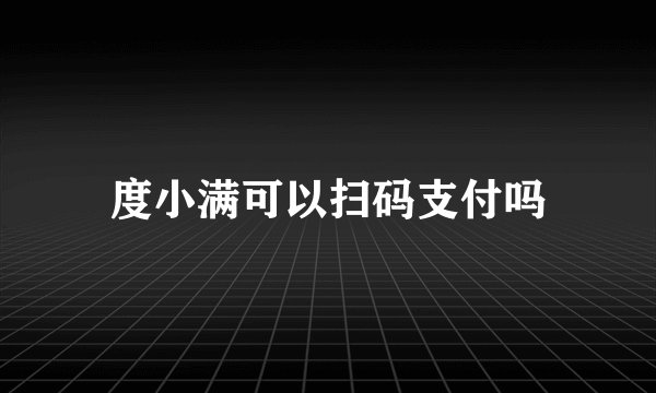 度小满可以扫码支付吗