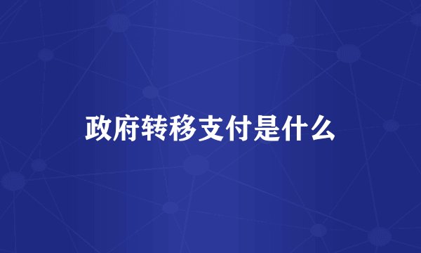 政府转移支付是什么