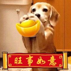 活鲍鱼怎么保存