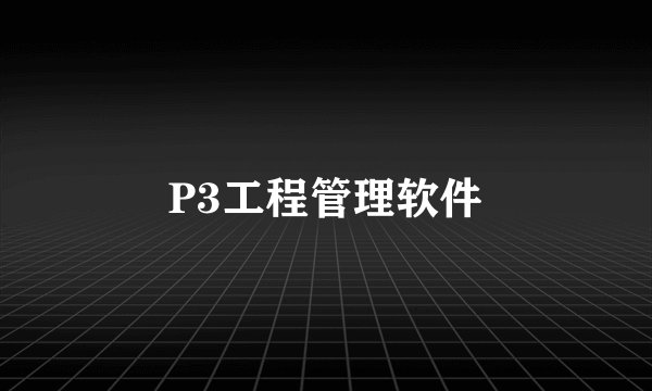 P3工程管理软件