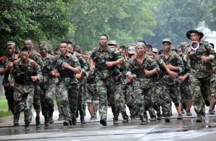 武警机动师与武警机动部队的区别