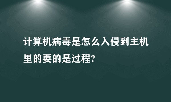 计算机病毒是怎么入侵到主机里的要的是过程?