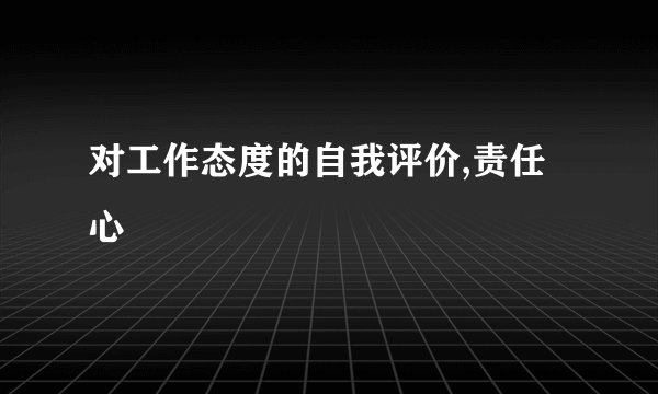 对工作态度的自我评价,责任心