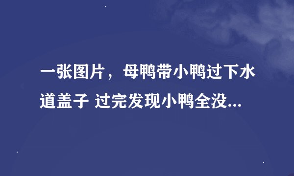 一张图片，母鸭带小鸭过下水道盖子 过完发现小鸭全没了 有人知道图片在哪可以下到 谢谢了