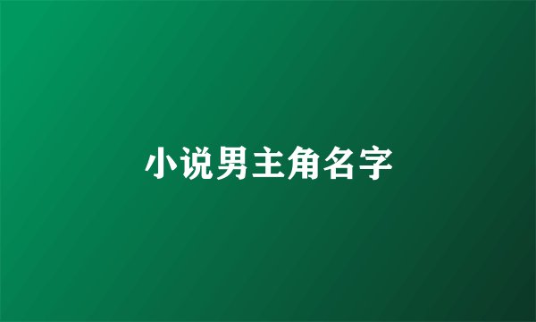 小说男主角名字
