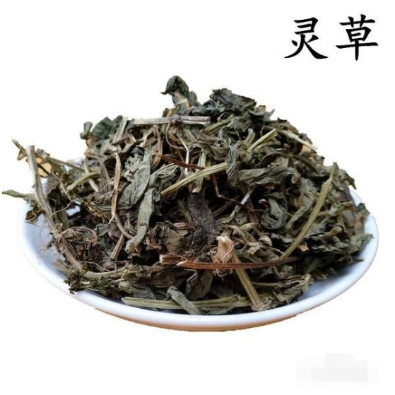 用哪种西药,或中药诱鱼最快? 请详细说明谢谢!