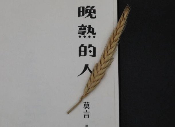 莫言《晚熟的人》经典语录有哪些?