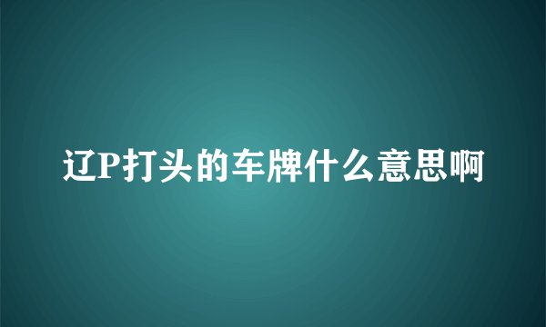 辽P打头的车牌什么意思啊