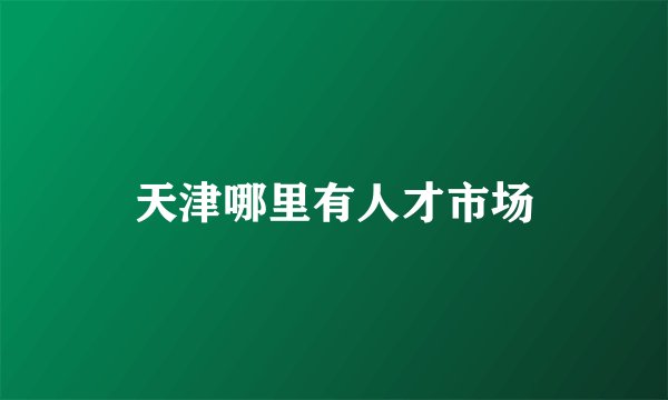 天津哪里有人才市场