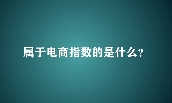 属于电商指数的是什么？