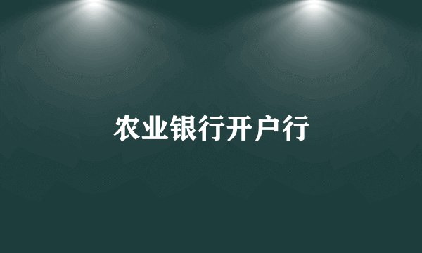 农业银行开户行