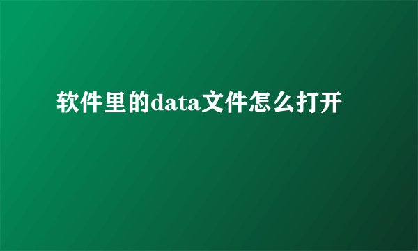 软件里的data文件怎么打开