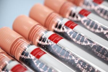 nmn烟酰胺单核苷酸的作用有哪些？