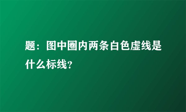 题：图中圈内两条白色虚线是什么标线？