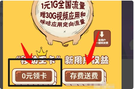 移动大王卡在哪申请 中国移动大王卡怎么办理