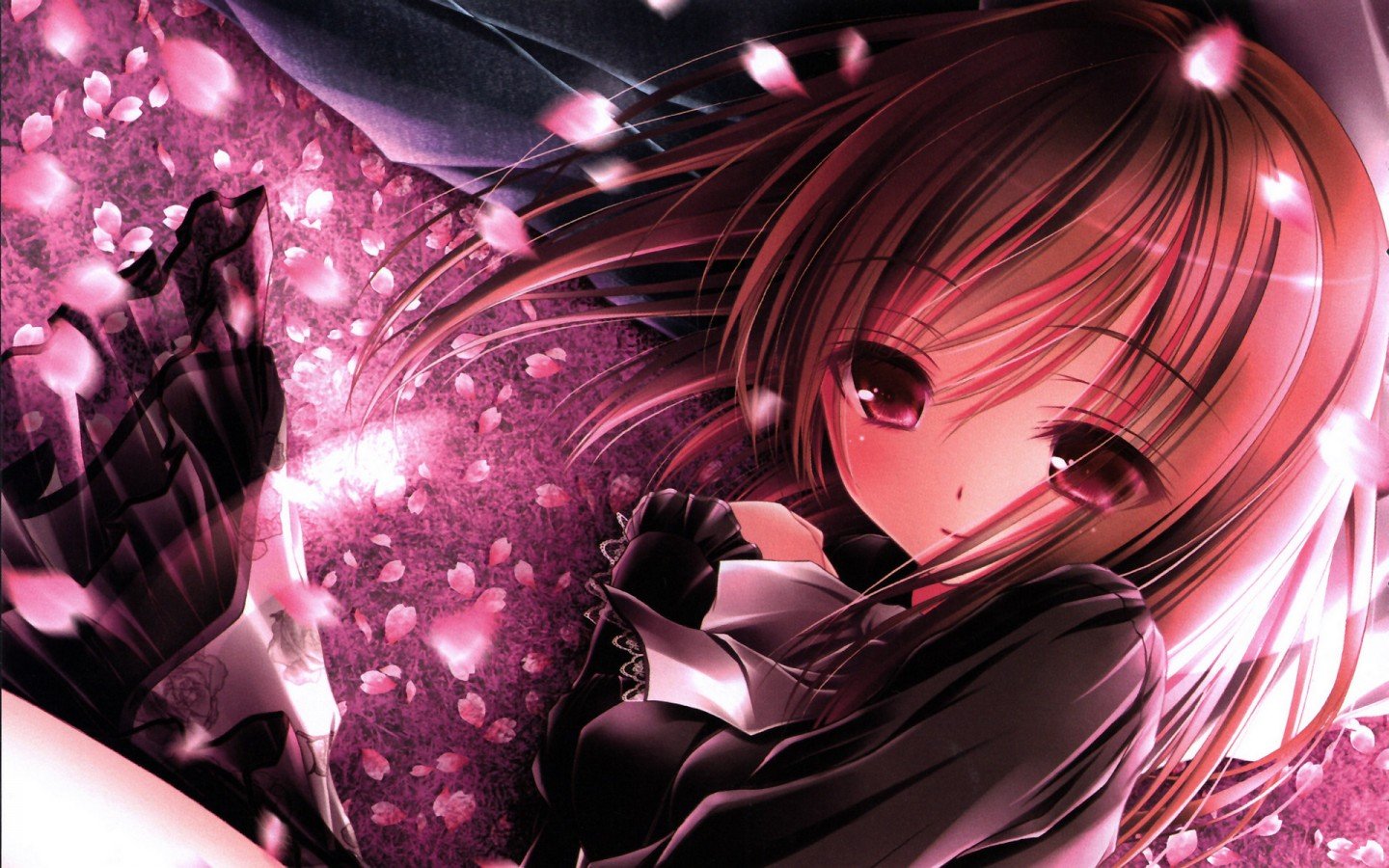 有关樱花的日本动漫的壁纸