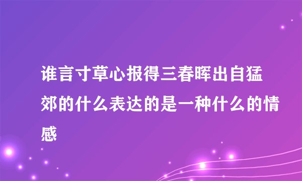 谁言寸草心报得三春晖出自猛郊的什么表达的是一种什么的情感