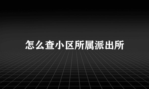 怎么查小区所属派出所