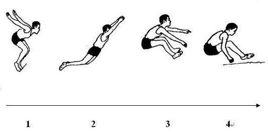 立定跳远的动作要领