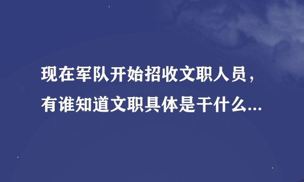 现在军队开始招收文职人员，有谁知道文职具体是干什么的吗，发展前景怎么样