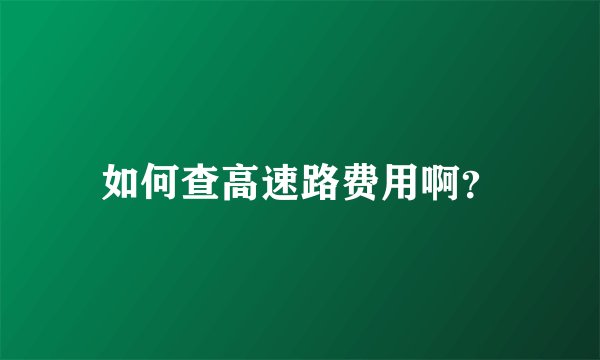 如何查高速路费用啊？