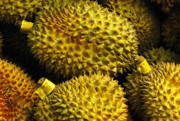 榴莲什么时候吃效果最好