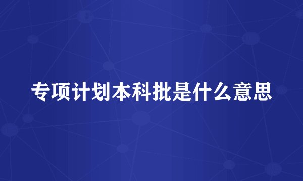 专项计划本科批是什么意思
