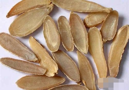 用哪种西药,或中药诱鱼最快? 请详细说明谢谢!