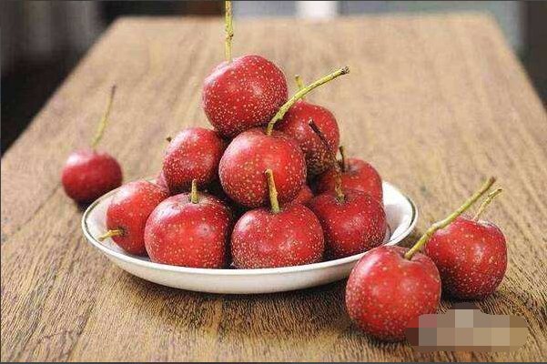 用哪种西药,或中药诱鱼最快? 请详细说明谢谢!