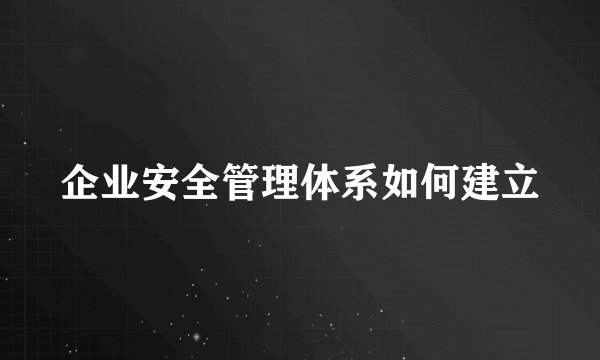 企业安全管理体系如何建立