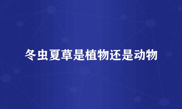 冬虫夏草是植物还是动物