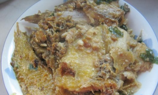 龙舌鱼长什么样子？