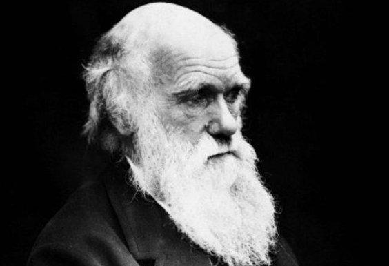 关于公正的名人素材例子有哪些？