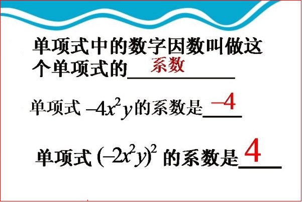 什么是单项式??