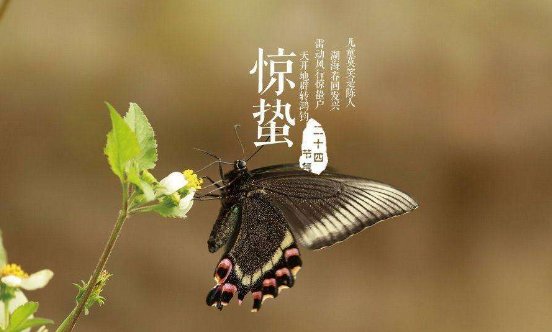 惊蛰的含义
