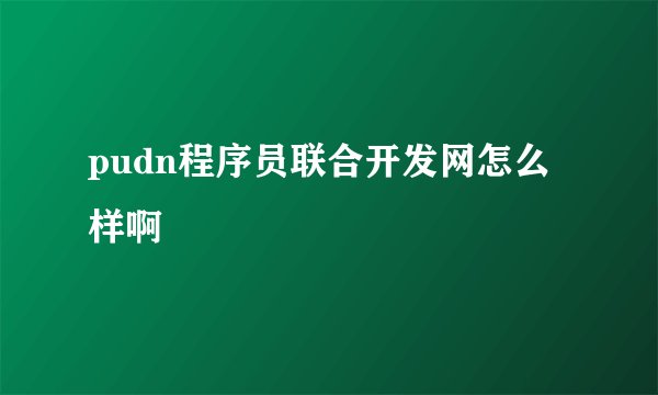 pudn程序员联合开发网怎么样啊