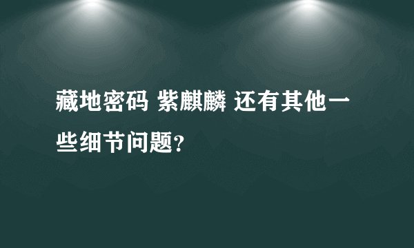 藏地密码 紫麒麟 还有其他一些细节问题？