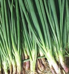 红葱、洋葱和圆葱有什么区别？