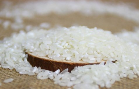 全国最大的大米批发市场在哪里？