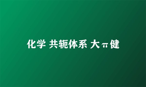 化学 共轭体系 大π健