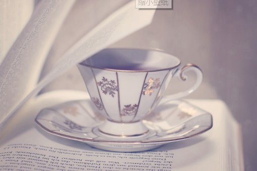 死党是什么意思啊