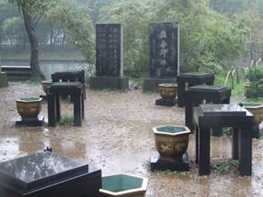 王献之18缸水是怎么练完的？