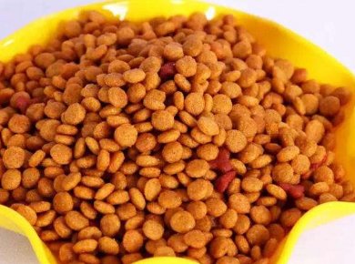 皇家猫粮怎么样啊？