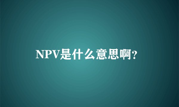 NPV是什么意思啊？