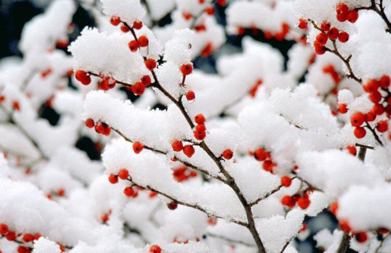 四时八节是什么意思啊？