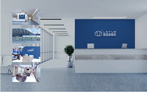 碧莲盛植发需要多少钱