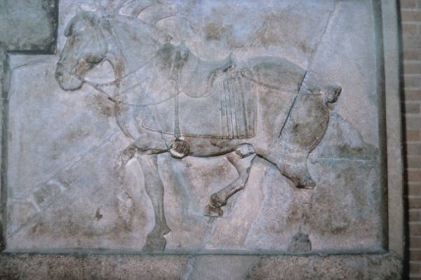 “飒露紫、卷毛騧”，这两匹马都是什么？