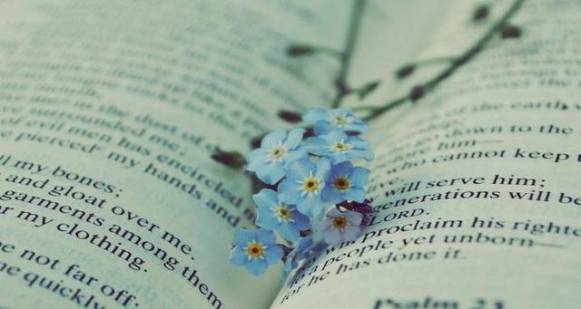 你是一个有心机的人么，心机重的人会有什么表现？