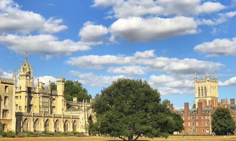 加入大学的学生会有什么作用？